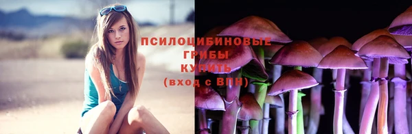 кокс Арсеньев