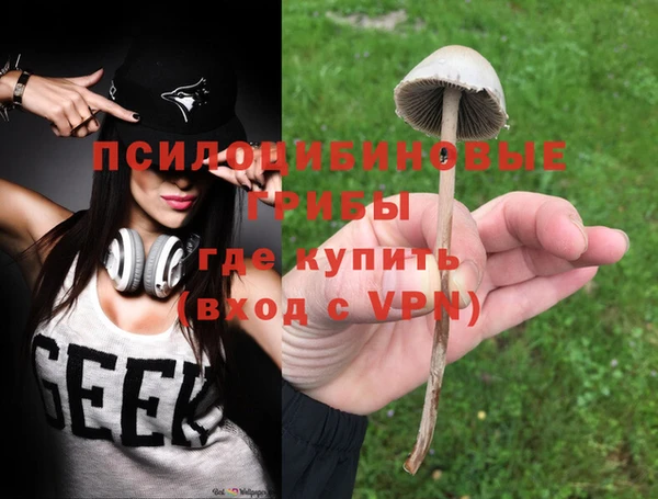 кокс Арсеньев