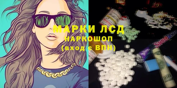 spice Аркадак