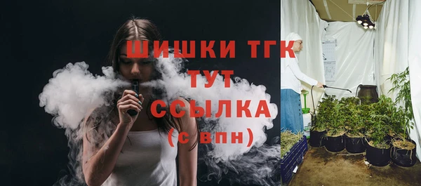 spice Аркадак