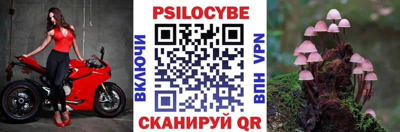 Псилоцибиновые грибы мицелий  где купить наркотик  Судак 